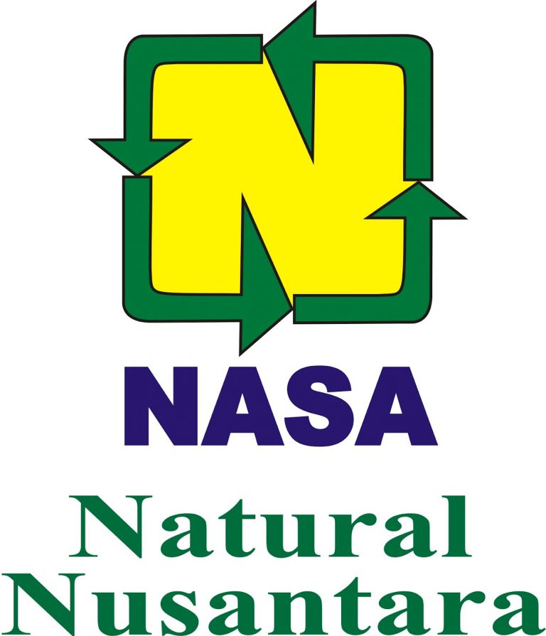 Logo Nasa