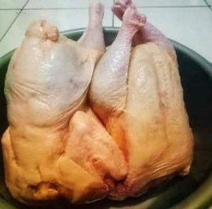 ayam4