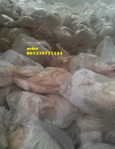 ayam8.k