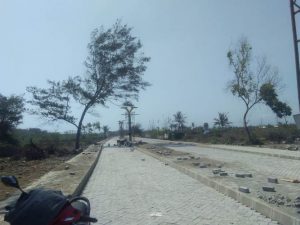 JASA PASANG PAVING BLOCK TERMURAH