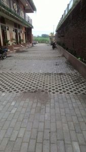 jasa-pasang-paving
